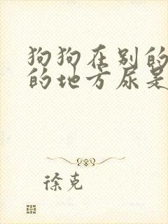 狗狗在别的狗尿的地方尿是什么原因