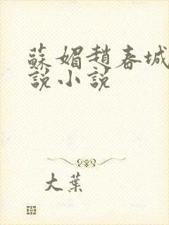 苏媚赵春城的小说小说