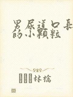 男尿道口长白色的小颗粒