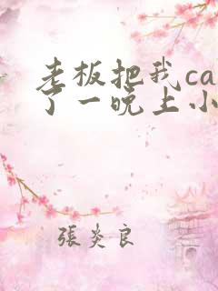 老板把我cao了一晚上小说