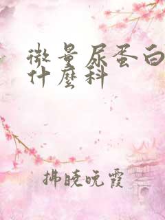 微量尿蛋白高挂什么科