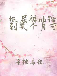 纸尿裤nb号穿到几个月可以