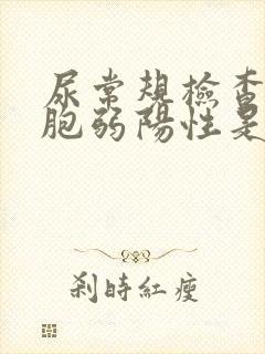 尿常规检查白细胞弱阳性是什么意思