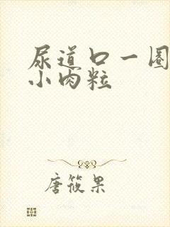 尿道口一圈白色小肉粒