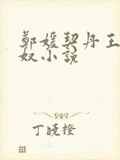 郑媛契丹王的女奴小说