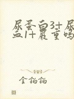 尿蛋白3+尿潜血1+严重吗