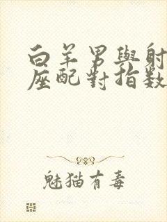 白羊男与射手女座配对指数