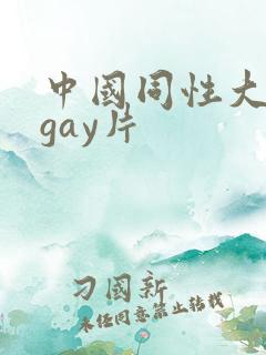 中国同性大尺度gay片