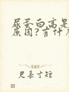 尿蛋白高是什么原因?有什么危害吗?