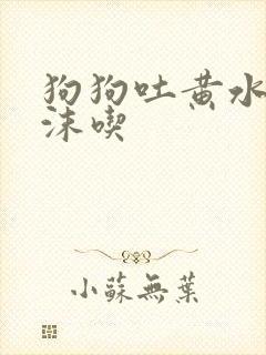 狗狗吐黄水带泡沫吃