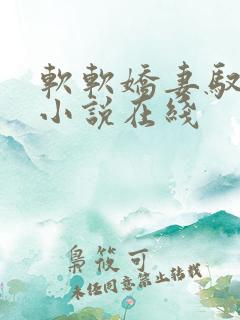 软软娇妻驭恶夫小说在线
