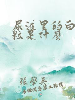 尿液里的白色颗粒是什么