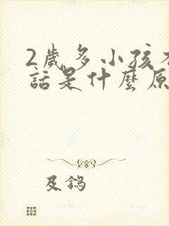 2岁多小孩不说话是什么原因