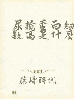 尿检查白细胞计数高是什么原因