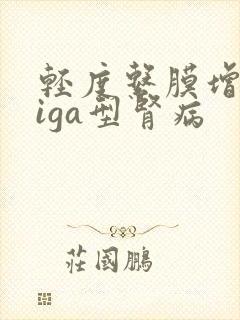 轻度系膜增生性iga型肾病