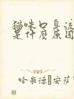 猫咪口臭流口水是什么原因