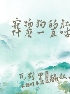 宠物狗的肚子为什么一直咕噜咕噜响