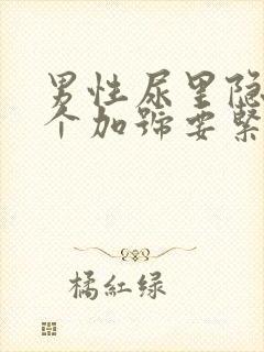 男性尿里隐血1个加号要紧吗