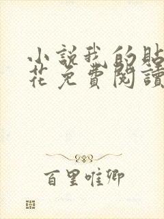 小说我的贴身校花免费阅读全文