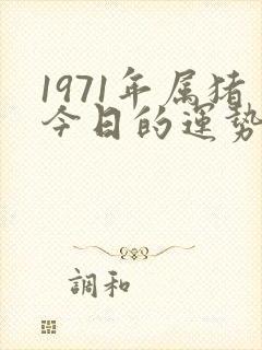 1971年属猪今日的运势和财运如何