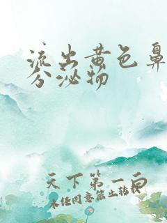 流出黄色鼻涕样分泌物