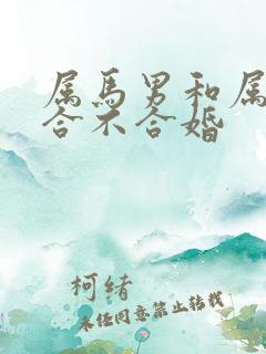 属马男和属虎女合不合婚