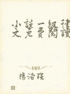 小说一级律师全文免费阅读