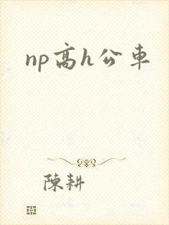 np高h公车