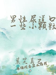 男性尿道口长了一些小颗粒