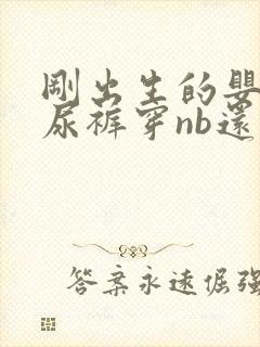 刚出生的婴儿纸尿裤穿nb还是s码