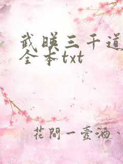武映三千道精校全本txt