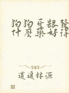 狗狗牙龈发炎吃什么药好得快