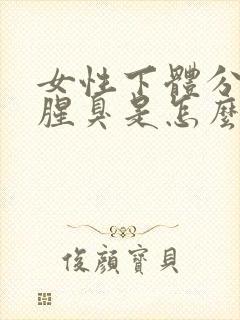 女性下体分泌物腥臭是怎么回事啊