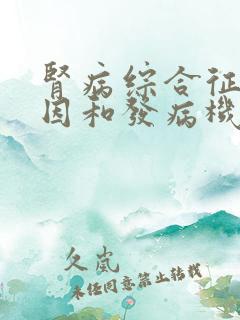 肾病综合征的病因和发病机制