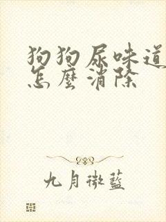 狗狗尿味道很重怎么消除