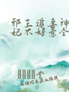 邪王追妻神医狂妃不好惹全文免费