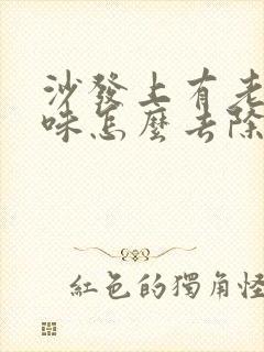 沙发上有老鼠尿味怎么去除