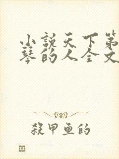 小说天下第一抚琴的人全文