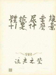 体检尿常规隐血+1是什么意思