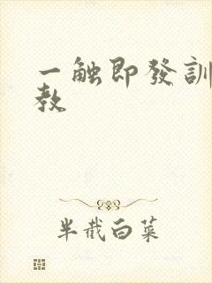 一触即发训诫管教