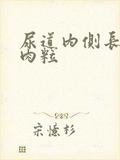 尿道内侧长小白肉粒