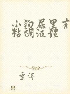 小狗尿里有白色粘稠液体