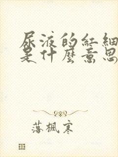 尿液的红细胞高是什么意思