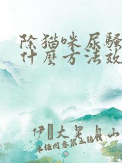 除猫咪尿骚味用什么方法效果好?