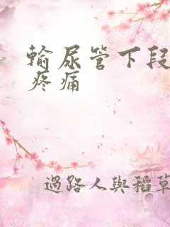 输尿管下段结石疼痛