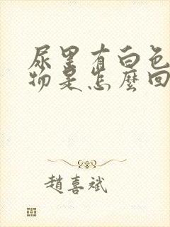 尿里有白色分泌物是怎么回事