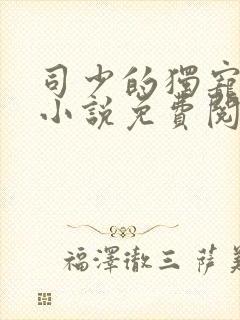 司少的独宠新妻小说免费阅读