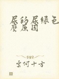 尿的尿绿色是什么原因