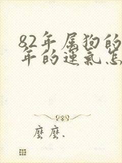 82年属狗的今年的运气怎么样