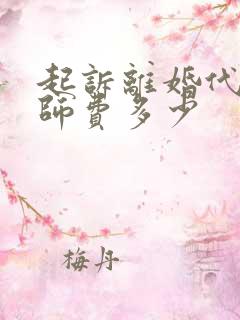 起诉离婚代理律师费多少